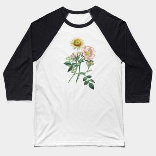 Dog Rose and Chamomile Flower Vintage Botanical Illustration Baseball T-Shirt